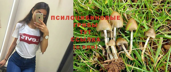мескалин Аркадак