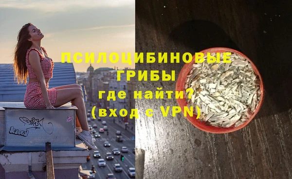 прущая мука Арсеньев