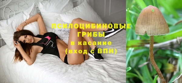 мескалин Аркадак