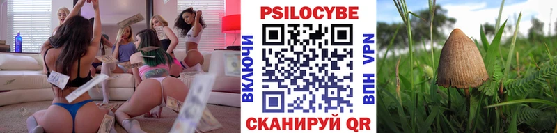 магазин  наркотиков  Ряжск  Псилоцибиновые грибы мухоморы 